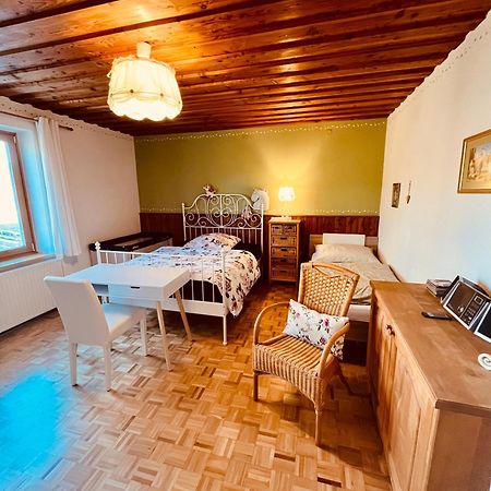 Familienapartments Mit Balkon Und Garten Ober-Lembach Kültér fotó