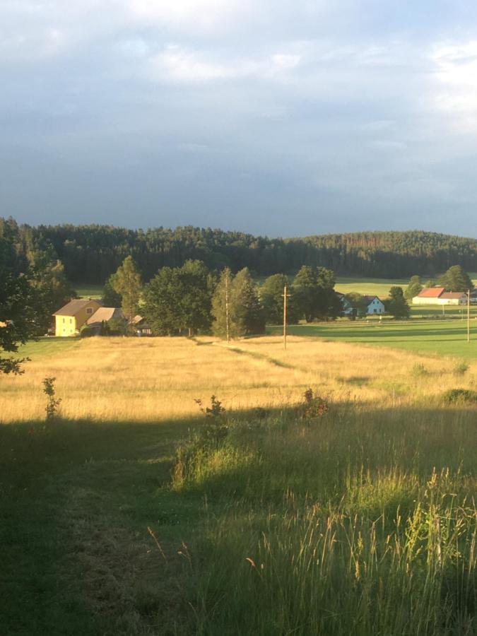 Familienapartments Mit Balkon Und Garten Ober-Lembach Kültér fotó