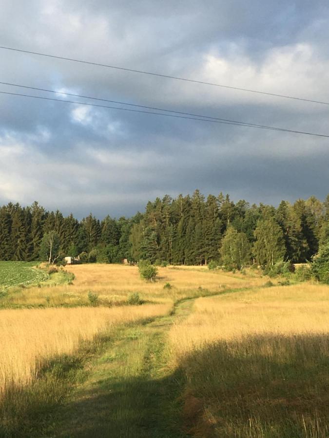 Familienapartments Mit Balkon Und Garten Ober-Lembach Kültér fotó